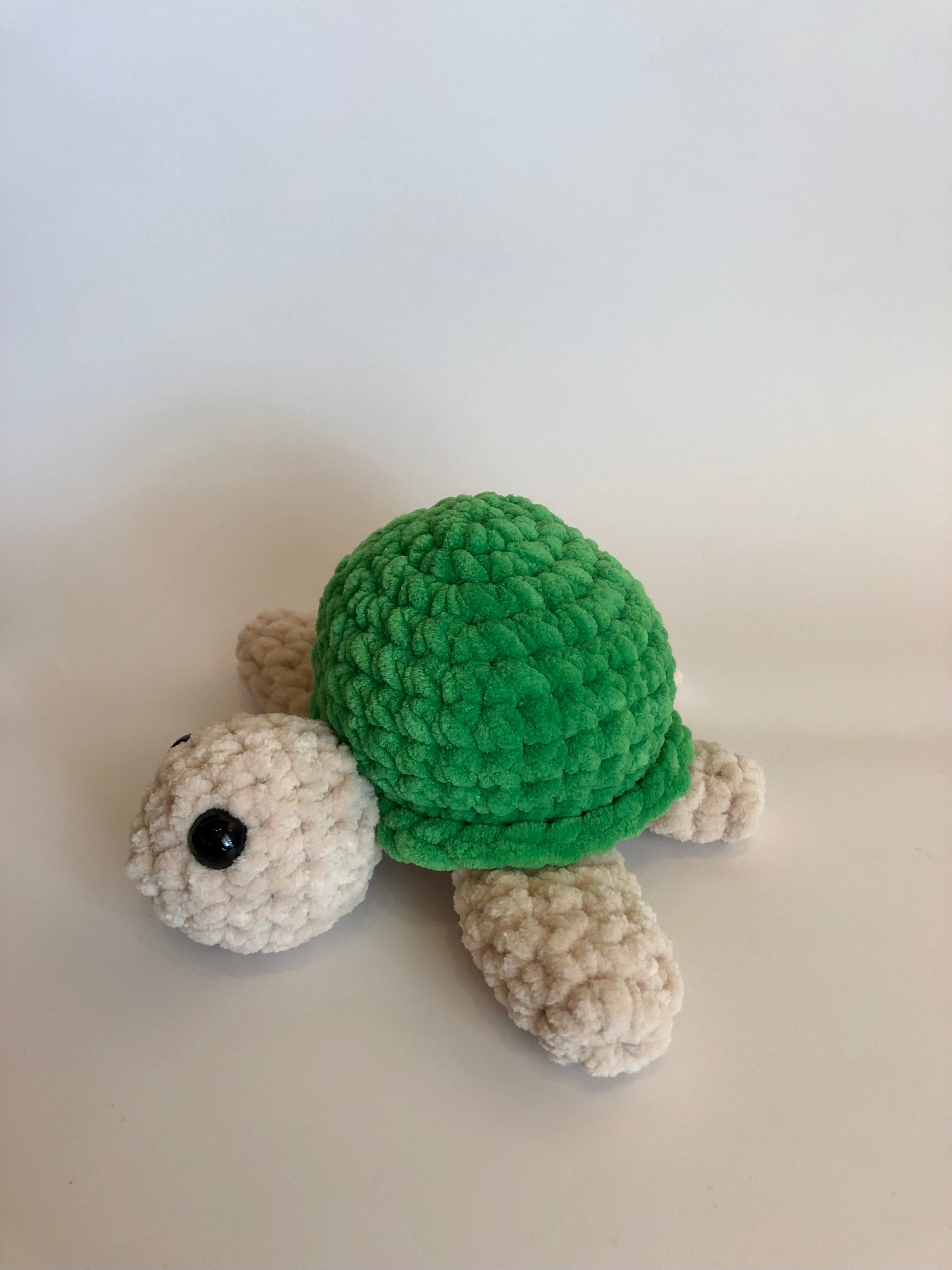 Schildkröte hellgrün