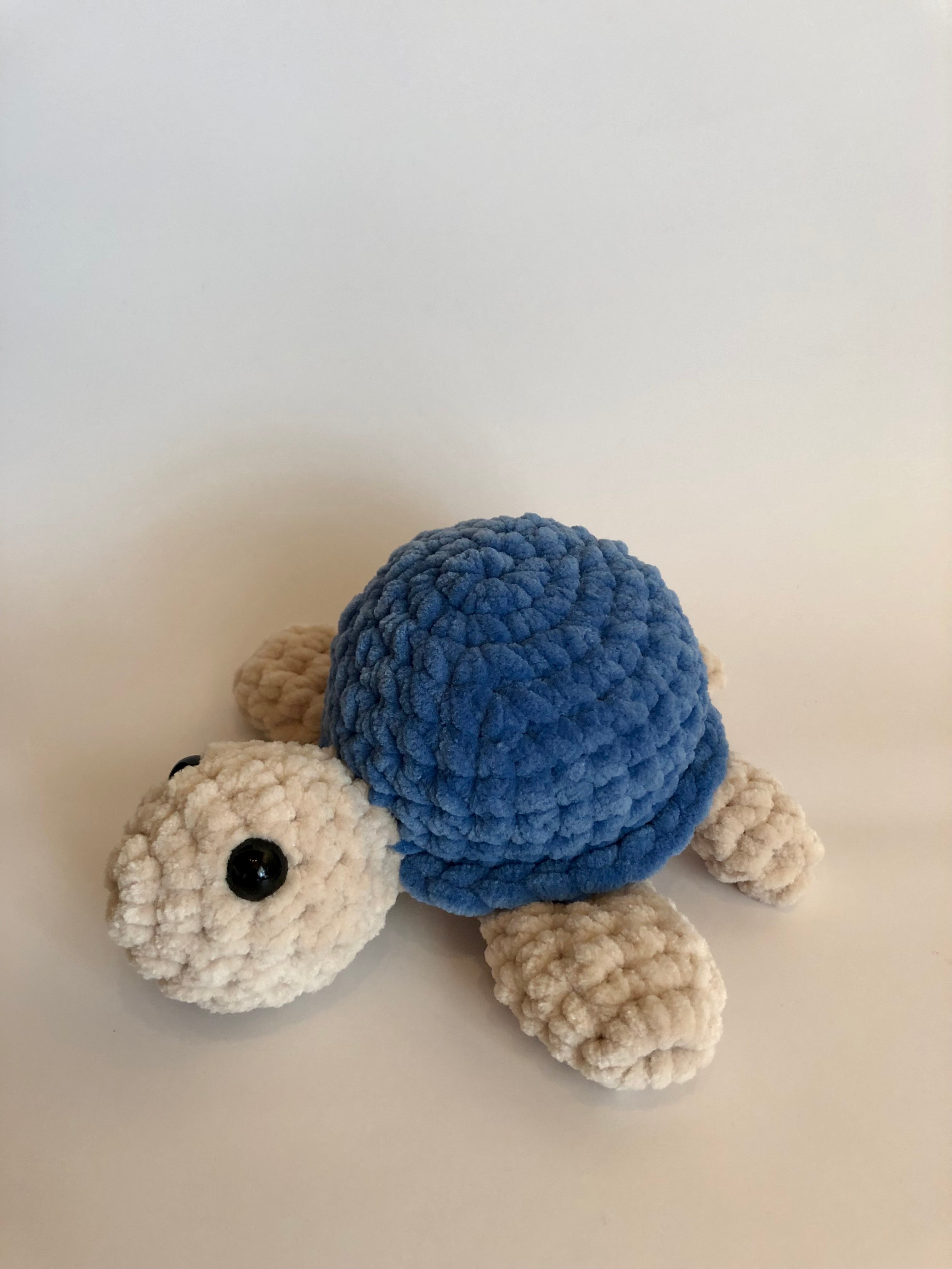 Schildkröte blau