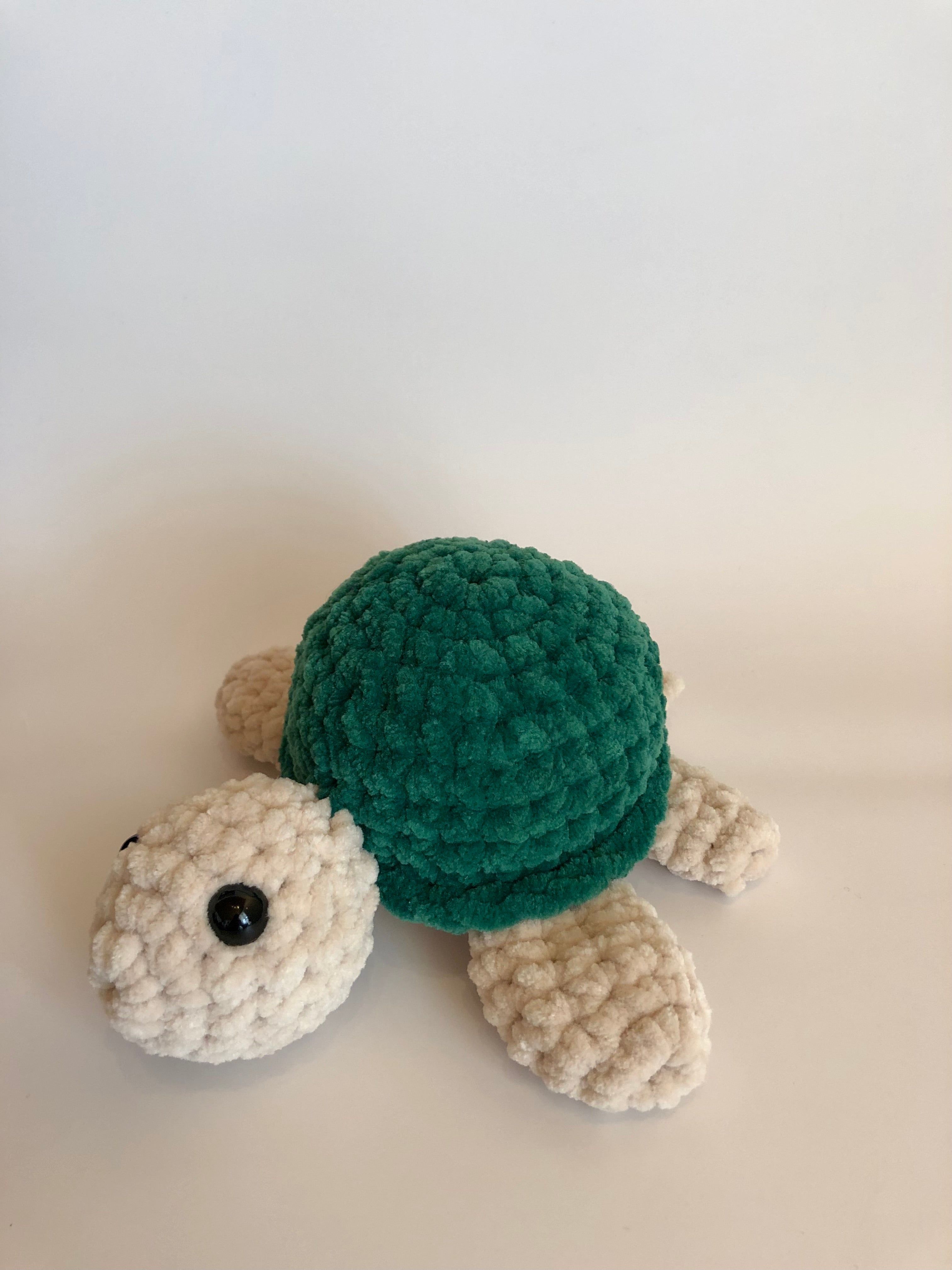 Schildkröte dunkelgrün