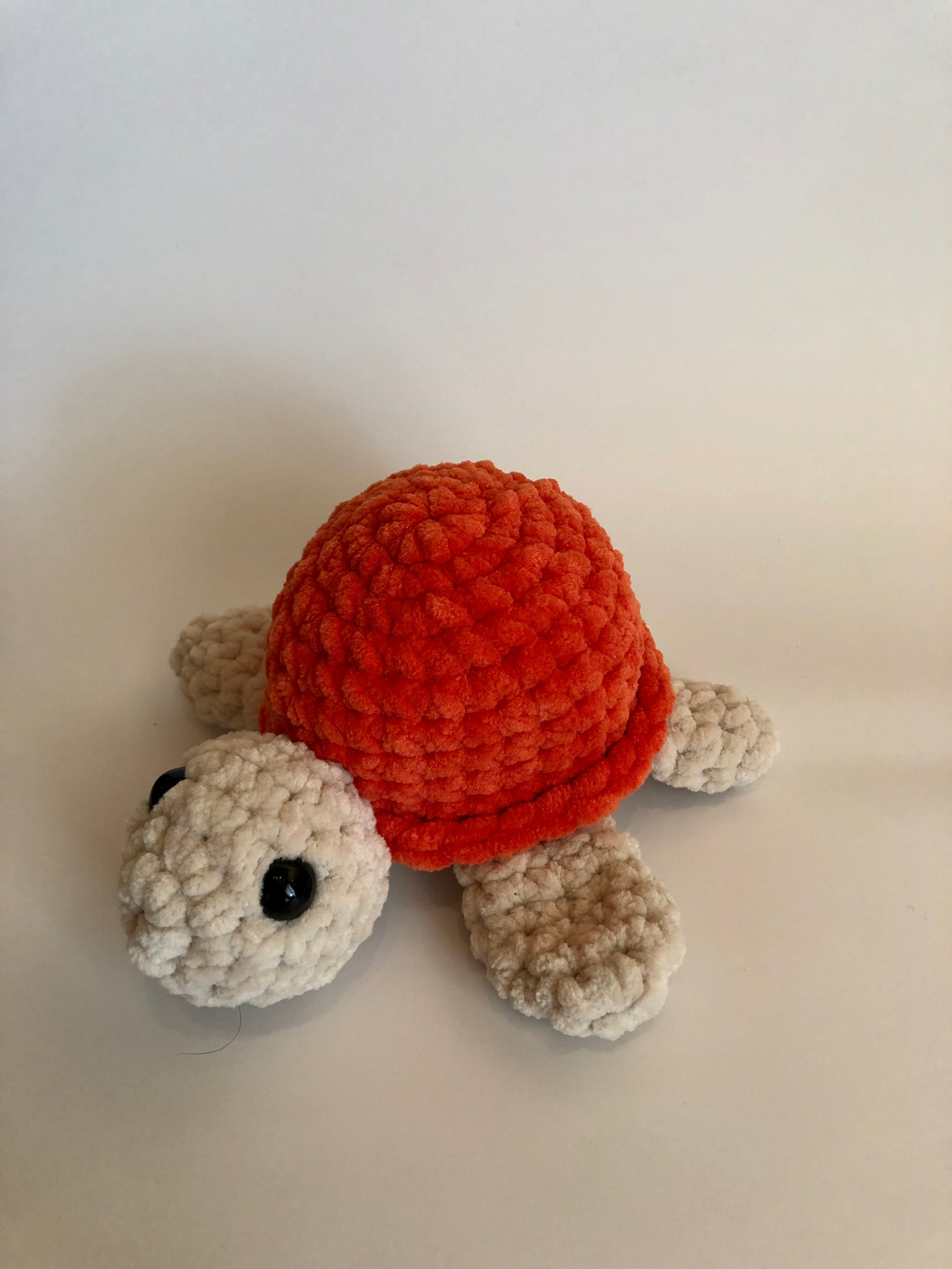 Schildkröte orange