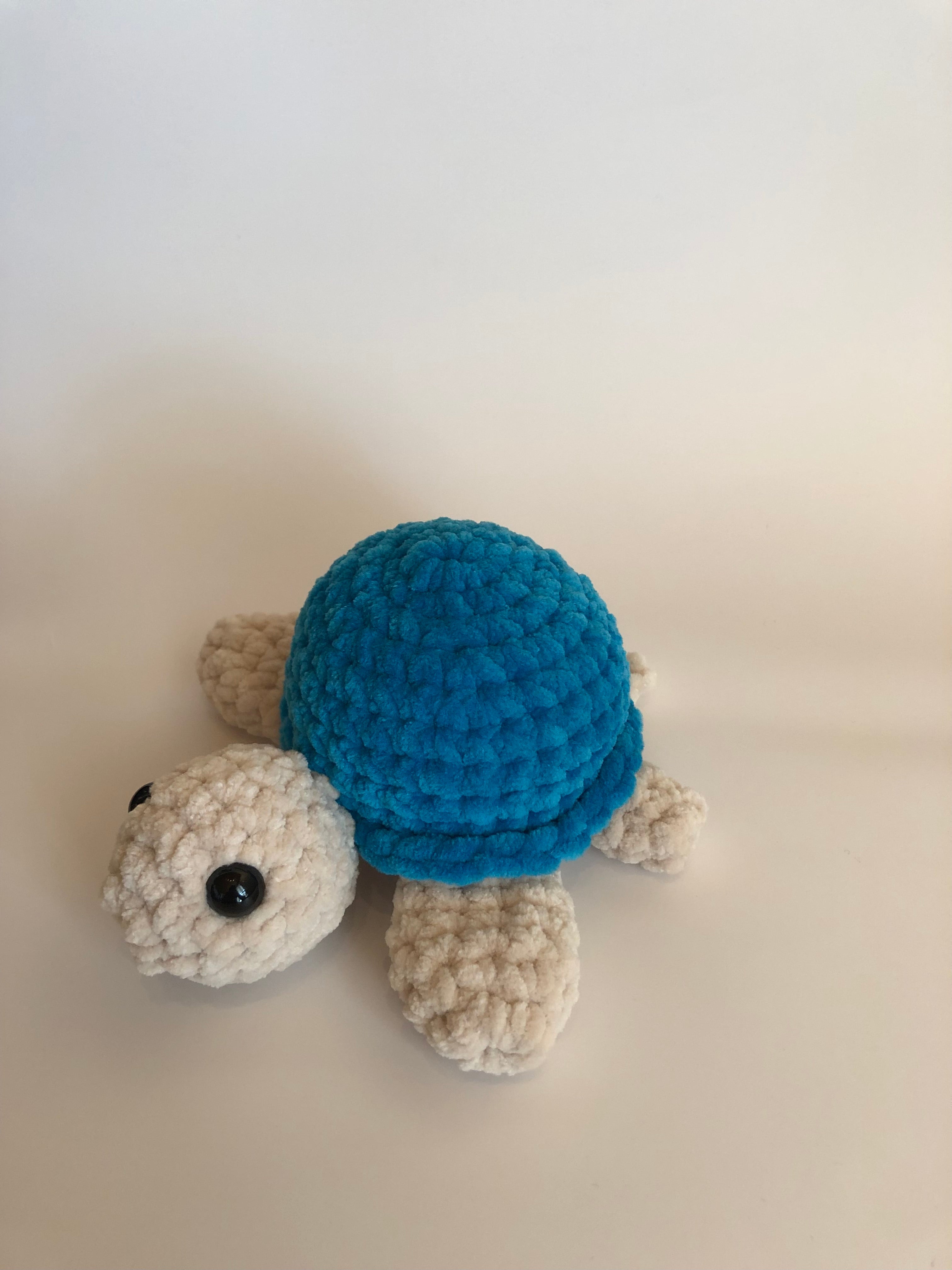 Schildkröte aquablau