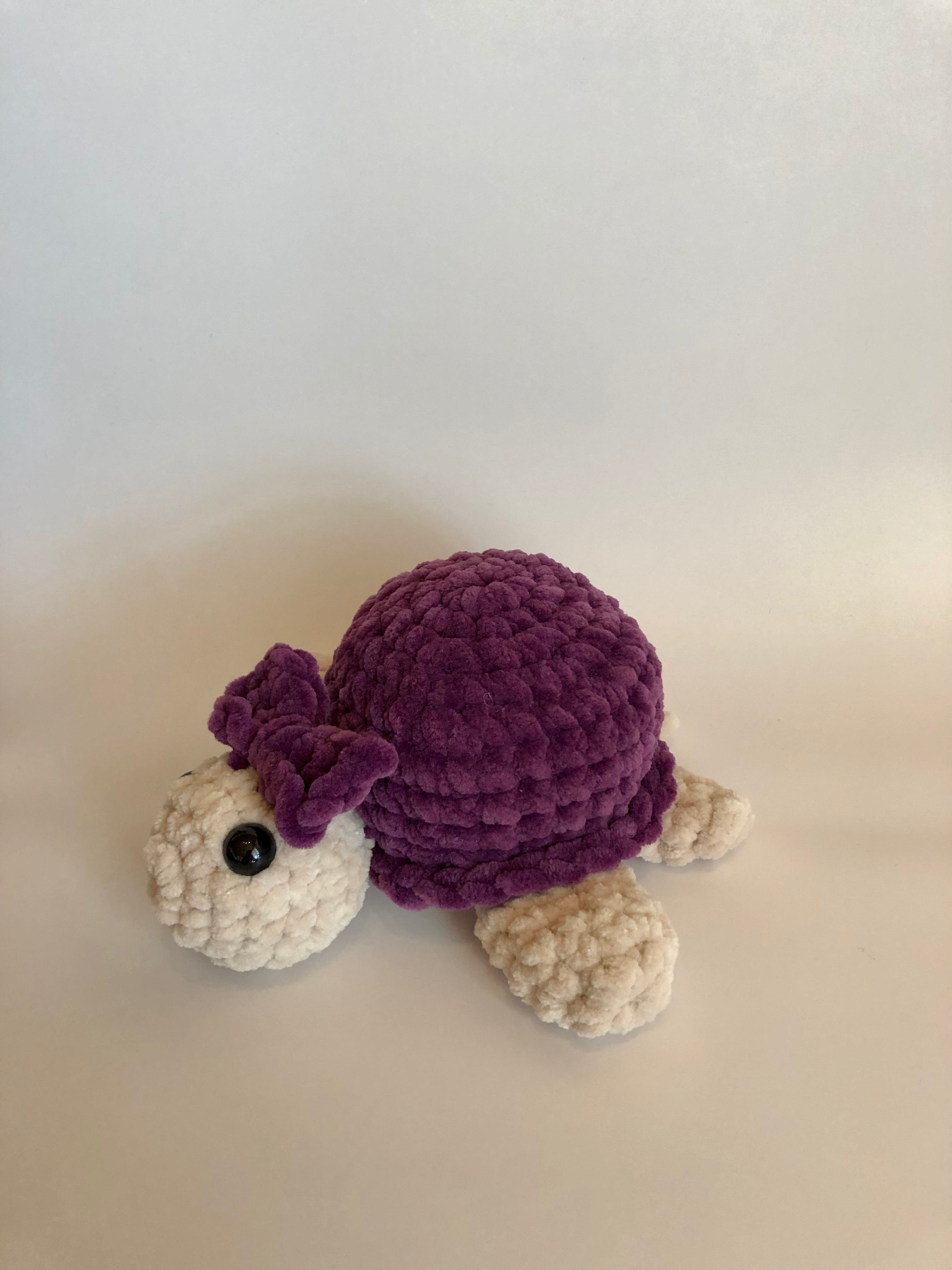 Schildkröte violet