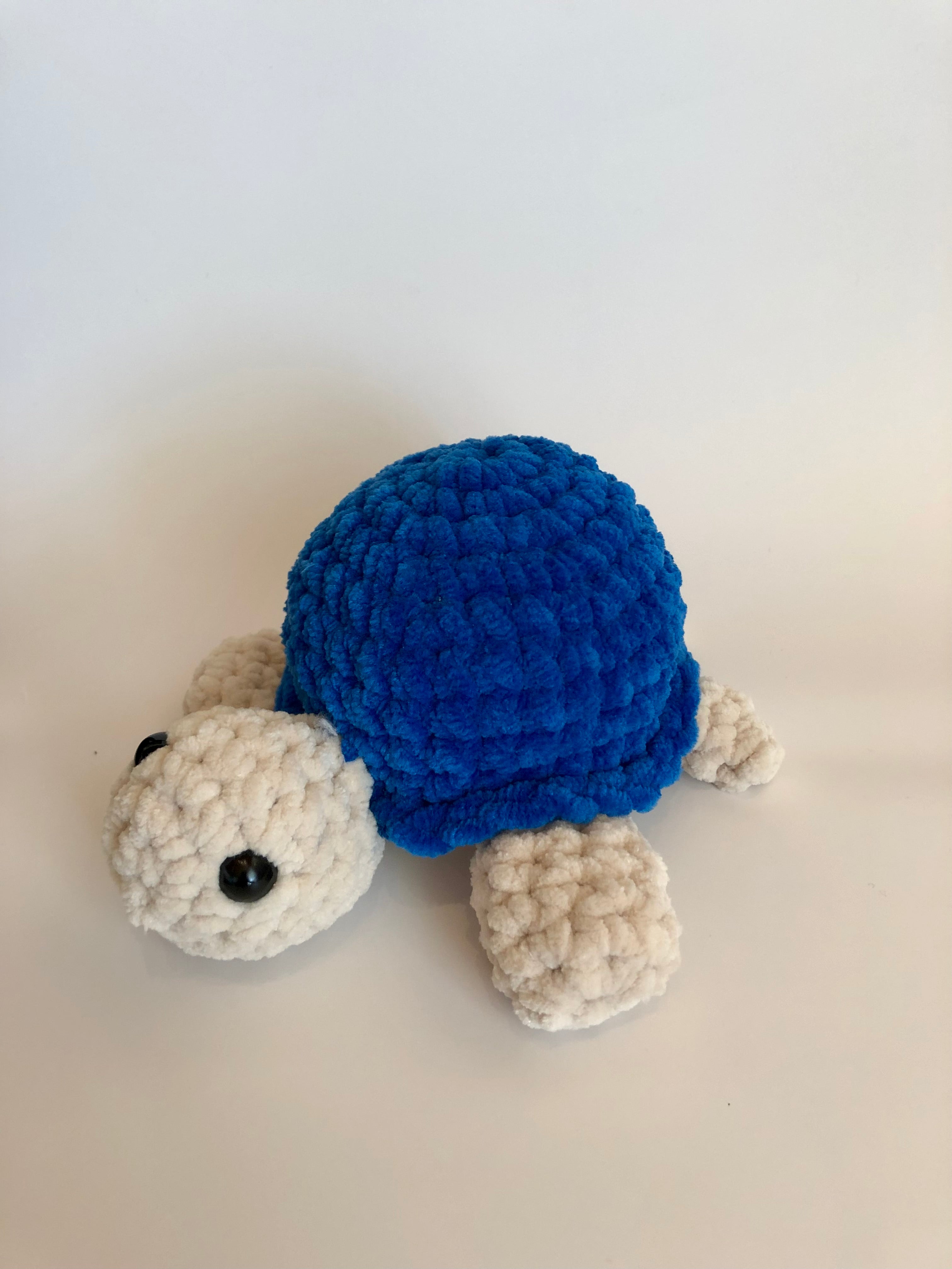 Schildkröte königsblau